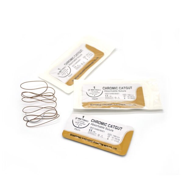 Chromic Catgut
